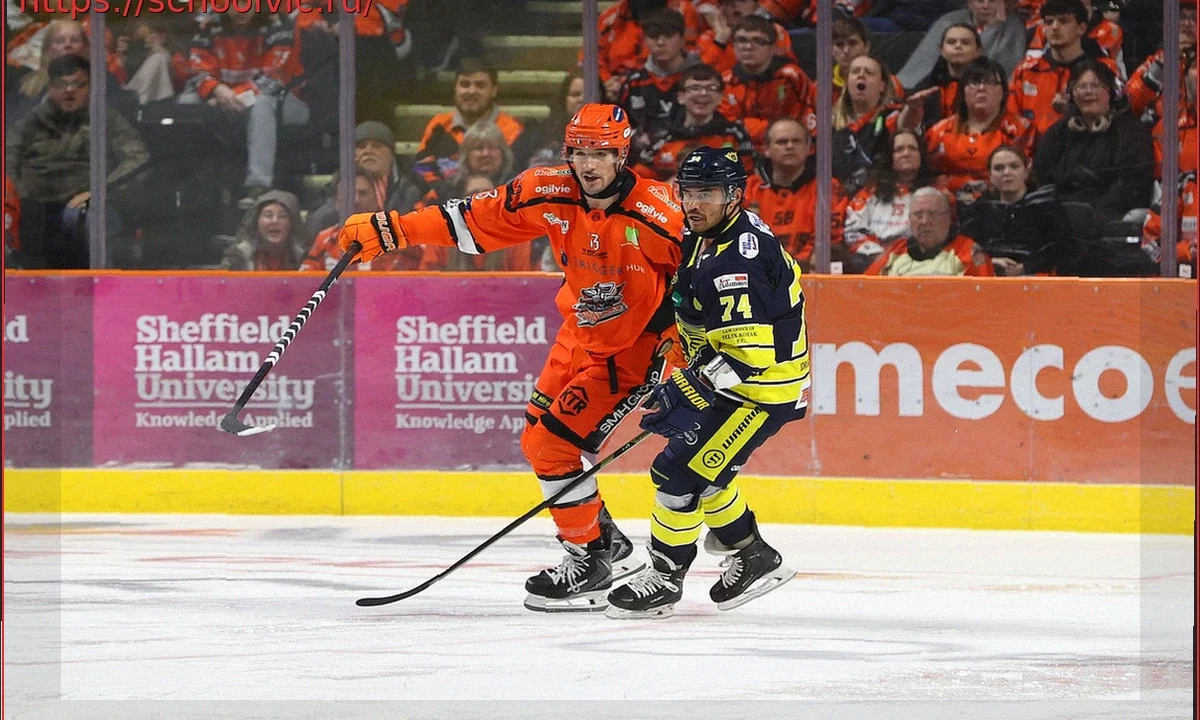 EIHL: Расписание Матчей и Belfast Giants на Пороге Чемпионства